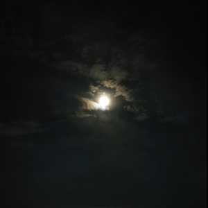 This Is What You Came For 野兽之瞳（80s remix）