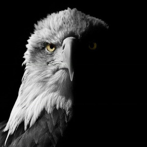 Funk Oscuro (Slowed)