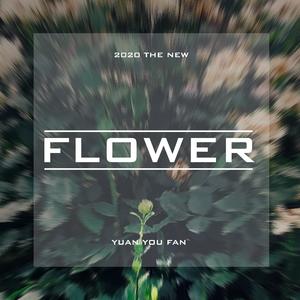 普雷·博诣(PLAY BOY)