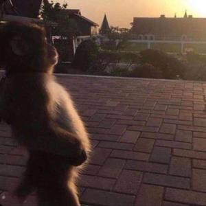 Dntknowwheretogo (feat. Idrcabi & 4Getek)