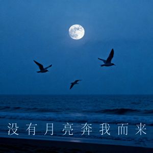 没有月亮奔我而来