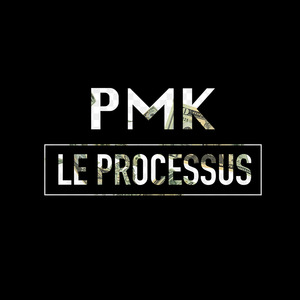 Le Processus