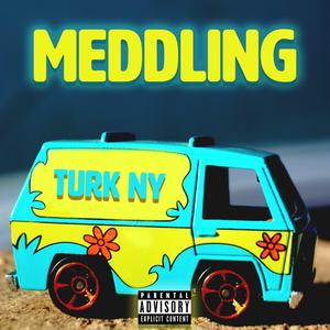 Meddling