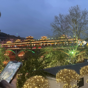 樱花季陪你哭泣