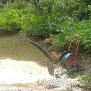 春だね、ふわふわ