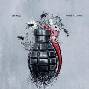 හීන පස්සේ ගිය ඈතක් (Heena Passe Giya Aethak)