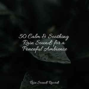 Whispered Secrets of Thunder