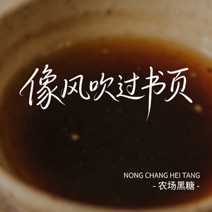 像风吹过书页（原版）