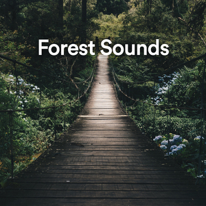 Forest Sounds