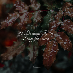 Rain, Vegetation, Wood, Heavy Wind