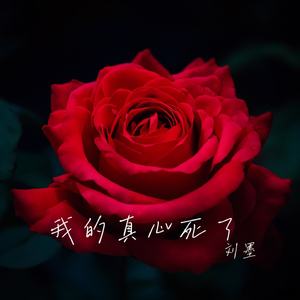 我的真心死了