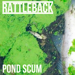 Pond Scum