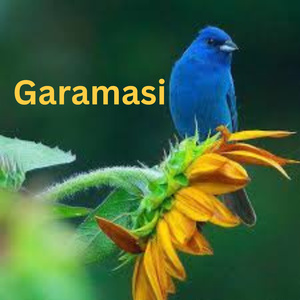Garamasi