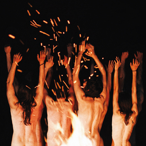 Hypnotisés vers la lumière