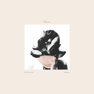 Hikyou (feat. Smany)