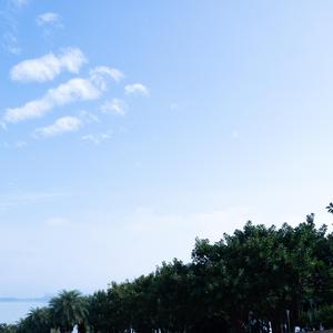 舒适纯音乐钢琴曲之声（安静白噪音）