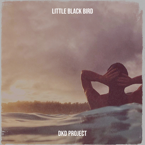 Little Black Bird