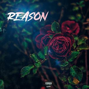 Reason