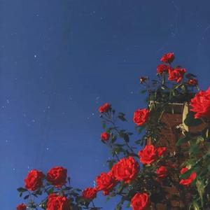 慢慢喜欢你（Cover莫文蔚）