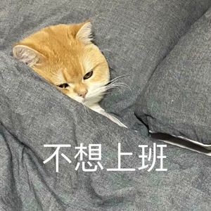 项羽虞姬（Cover毛不易）