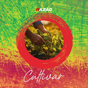 Cultivar (feat. Felipe Eloy Dos Santos & Claudemir Almeida Nascimento)