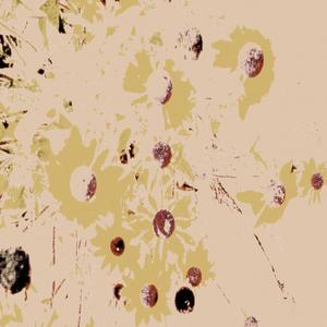 High Flier (Learning To Fly)