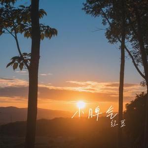 小脾气 (Cover 赵乃吉)