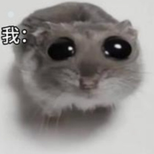 【出生の小曲儿】悲伤仓鼠Cotton Eye Joe (feat. Gabe The Dog)