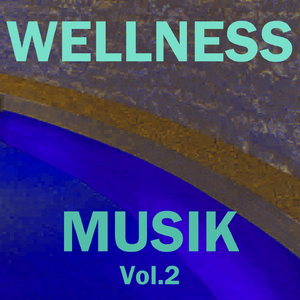 Wellness musik, vol. 2