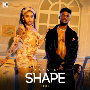 Shape (Lofi)
