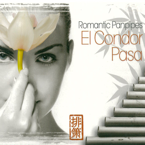 Leaving On A Jet Plane