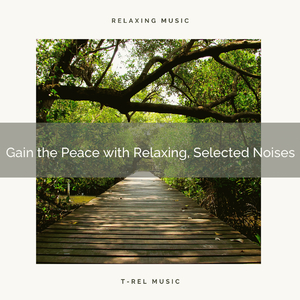 Gain the Peace with Relaxing, Selected Noises
