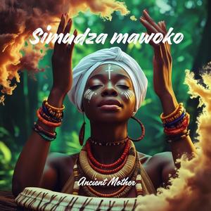Simudza mawoko (Radio Edit)