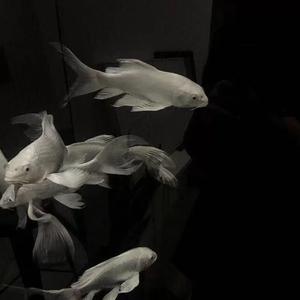 梦(Prod by .LGlywww)