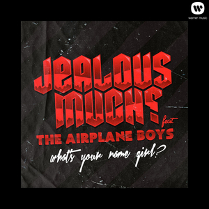 What's Your Name Girl? (feat. The Airplane Boys) (Radio Edit) (Radio Edit)