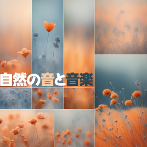 無心になれる水の音音楽