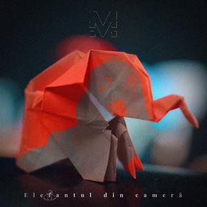 Elefantul Din Camera