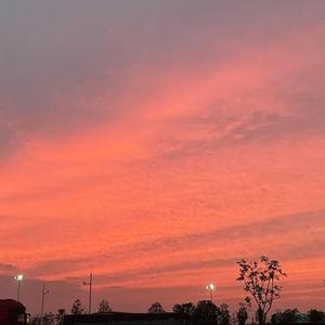 在深秋 (Cover 阿悄)