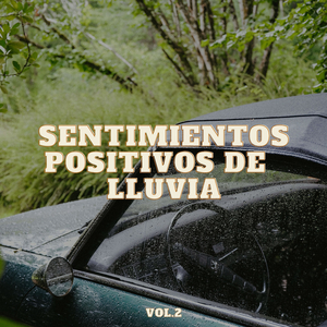 Pensamiento Profundo Significativo