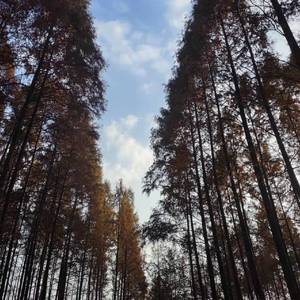 你是我的眼 - yye