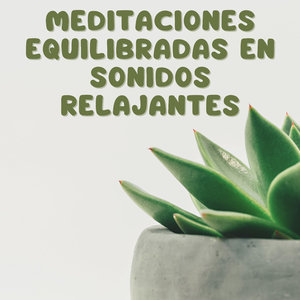 Colecciones Meditativas