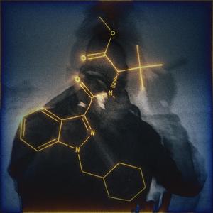 模擬物損毀 / NOIDS DAMAGE (SINGLE)
