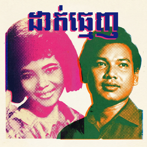 ដាក់ធ្មេញ