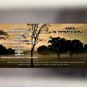 שיר בערך