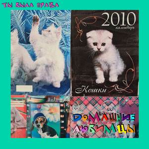 логическое продолжение эмо щета