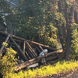 我真的死了好几次