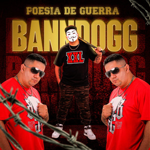 Arrogância