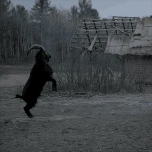 DEMISE (PROD. FRDM + BLACKLIST)