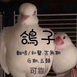 鸽子(拙劣演技版)