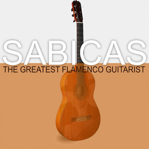 Salinas Gaditanas (Alegrias)